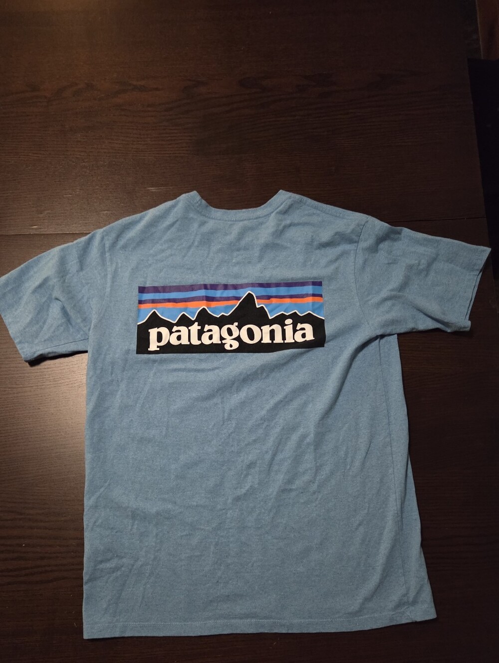 Patagonia Light Blue Short-Sleeve Tee with Multicolor Logo